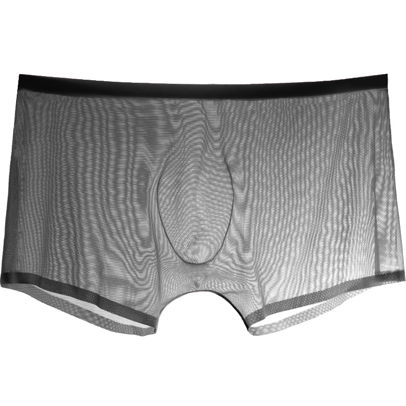 Trunk Breathable Men - Male Boxer Men Briefs Sheer underwear