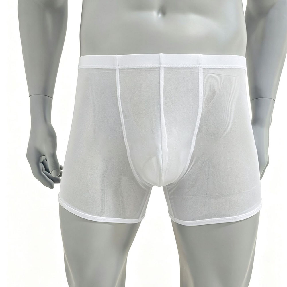 Men Mesh See-through Ultra-thi - огляд і ціна Long Leg Trunk Men