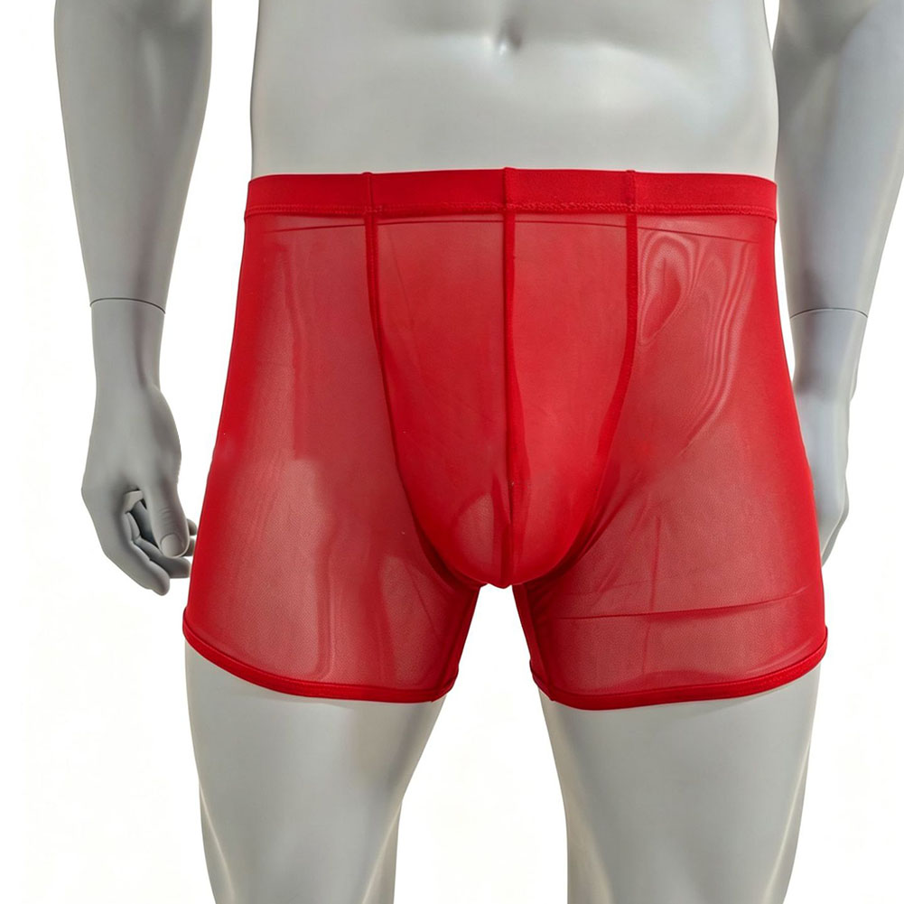 Men Mesh See-through Ultra-thi - огляд і ціна Long Leg Trunk Men