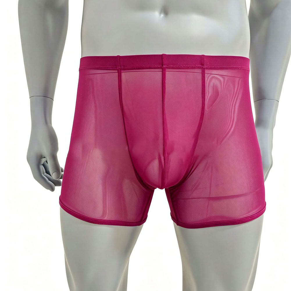 Men Mesh See-through Ultra-thi - огляд і ціна Long Leg Trunk Men