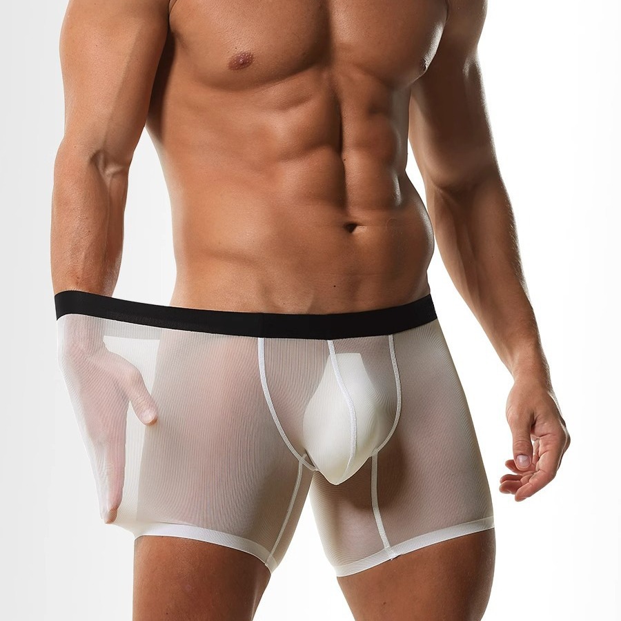 Mens Long Leg Boxer Shorts Ice - огляд і ціна Long Leg Trunk Men